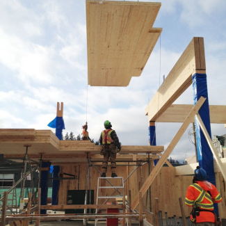 CLT panels being craned into place CLT panels being craned into place
